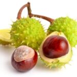 Alternative Medicinal Therapies for Varicose Veins