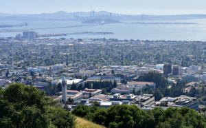 Tratamiento de las venas de Berkeley y Emeryville